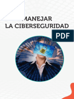 Lectura Ciberseguridad.pdf