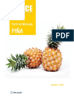 PIÑA ibc.pdf