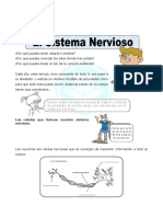 Ficha-El-Sistema-Nervioso-para-Cuarto-de-Primaria