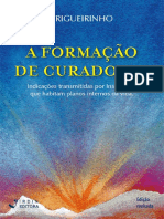 A Formacao de Curadores WEB PDF