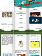 Proyecto Oratoria Triptico CORREGIDO PDF