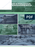 Psicopatologia Del Pensamiento PDF