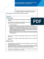INSTRUCTIVO Persona Con Negocio PDF