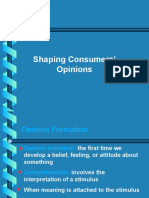 Shaping Consumers' Opinions