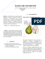 Morfologia Frutas PDF