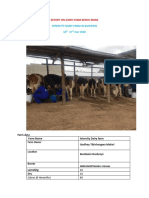 Intercity Dairy Farm in Bushenyi 16 - 17 Mar 2020