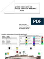 Informe Guia 8 - Peces