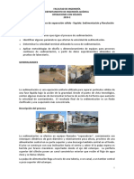 Operaciones Con Sólidos Práctica 8 - Sedimentacion PDF