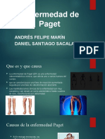 Enfermedad de Paget