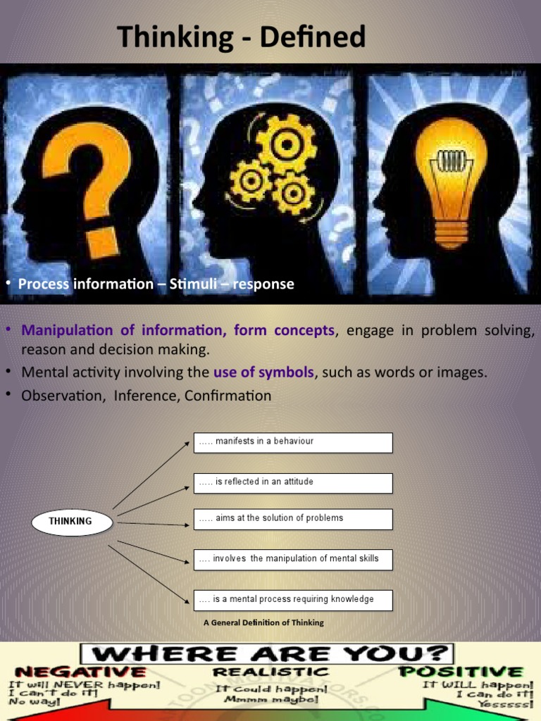 Understanding Thinking Processes | PDF | Science & Mathematics