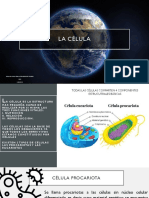 La Célula PDF