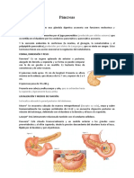 Páncreas Anatomía