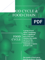 Food Cycle - UPLOAD