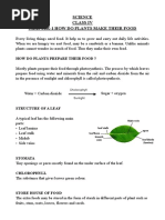 Adaptations in Plants for Class 4 | PDF