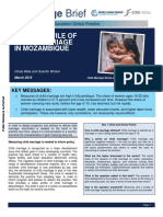 Knowledge Brief: Basic Profile of Child Marriage in Mozambique
