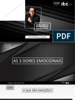 INTELIGENCIA EMOCIONAL INABALÁVEL.pdf