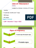 Pregnancy Diagnosis Stages