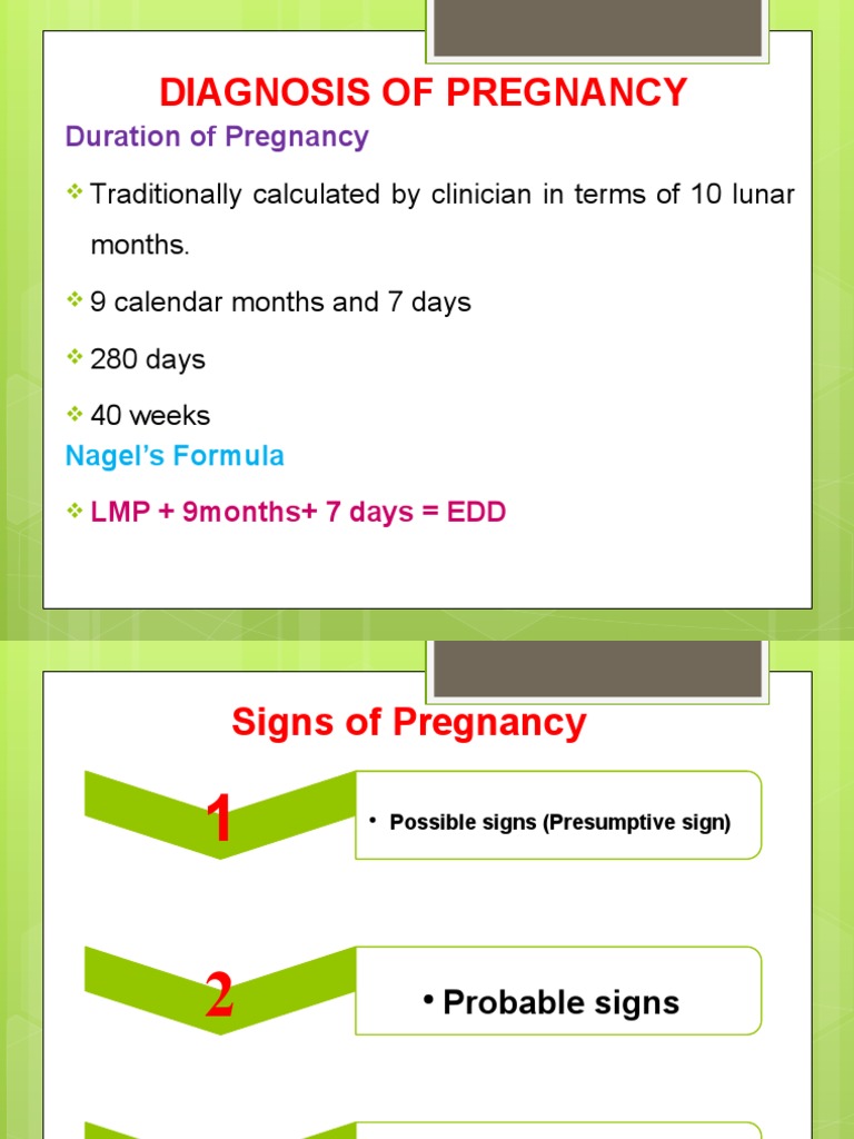 A Comprehensive Guide to Diagnosing Pregnancy Through Its Stages