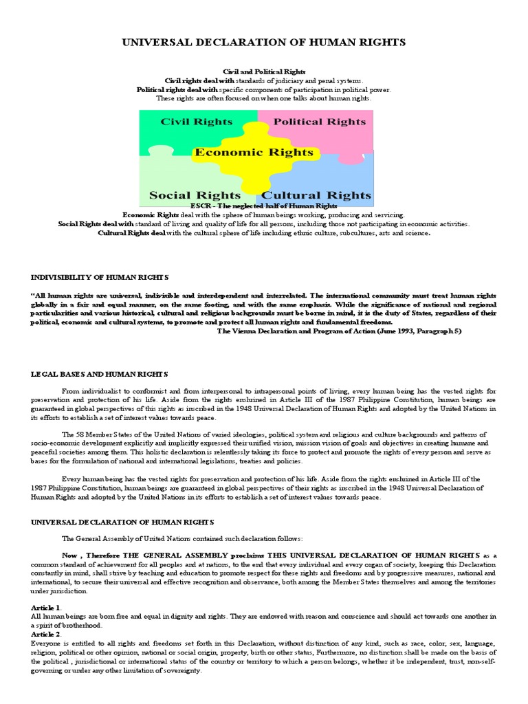 Universal Declaration of Human Rights Overview | PDF