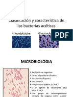 Clasificación y Característica de Las Bacterias Acéticas