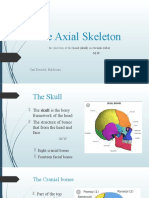 The Axial Skeleton:: The Skeleton of The Head (Skull) and Trunk (Ribs)