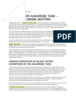 Blackwater Aquariums