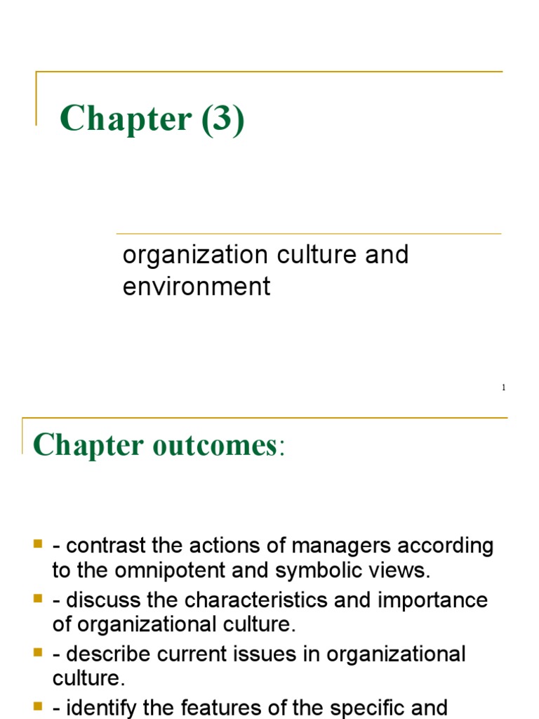Chapter (3) : Organization Culture and Environment | PDF