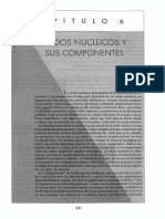 Acidos Nucleicos PDF