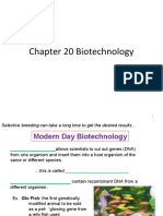 Chapter 20 Biotechnology Skeleton F18