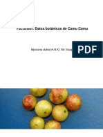 Camu Camu Factsheet