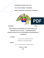 Informe de Tesis Mandarina