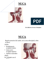 20 - Nuca PDF