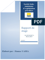 Rapport  SITEP hamza yahia 2013.docx