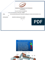 365464351-UNIDAD-I-ACTIVIDAD-02-Tipos-de-Industrias-Que-Utilizan-El-Sistema-de-Costos-Por-Procesos-COSTOS-II-1