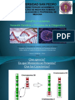 Variación Genética Mutaciones y Alteraciones Cromosomicas