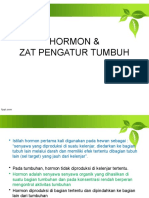 Hormon & ZPT