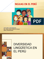LENGUAS DEL PERU.pdf
