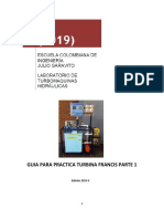 Guia Práctica Francis 1 PDF