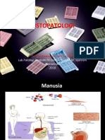 Histopatologi New 2
