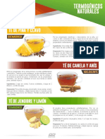 Termogenicos PDF