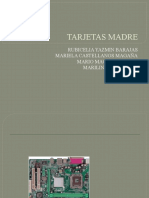 Tarjetas Madre