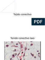 Tejido Conectivo