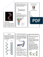 Triptico de Biologia