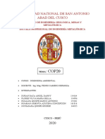 Cop 20 Informe