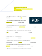 Elaborar y Dar Respuestas A 30 Preguntas