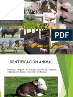 Clase 2.1. Identificacion - Animal