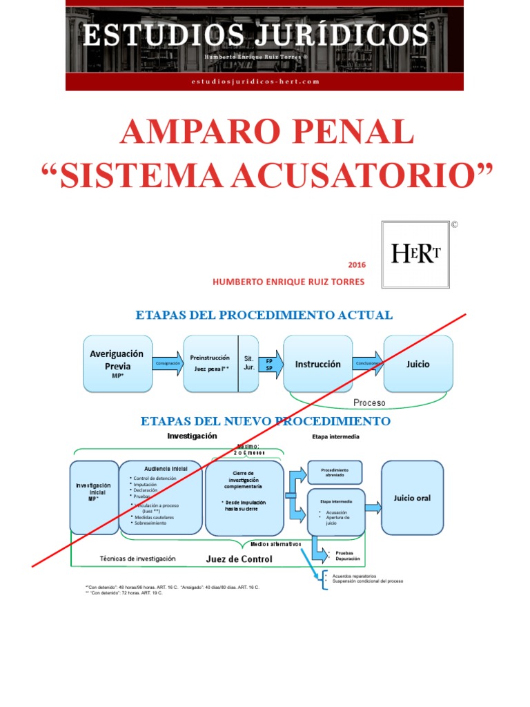 Amparo en el Sistema Penal Acusatorio | PDF | Procedimiento Criminal ...