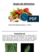 Microbiologia de alimentos (Fabricio Rene Balderrama Garcia)
