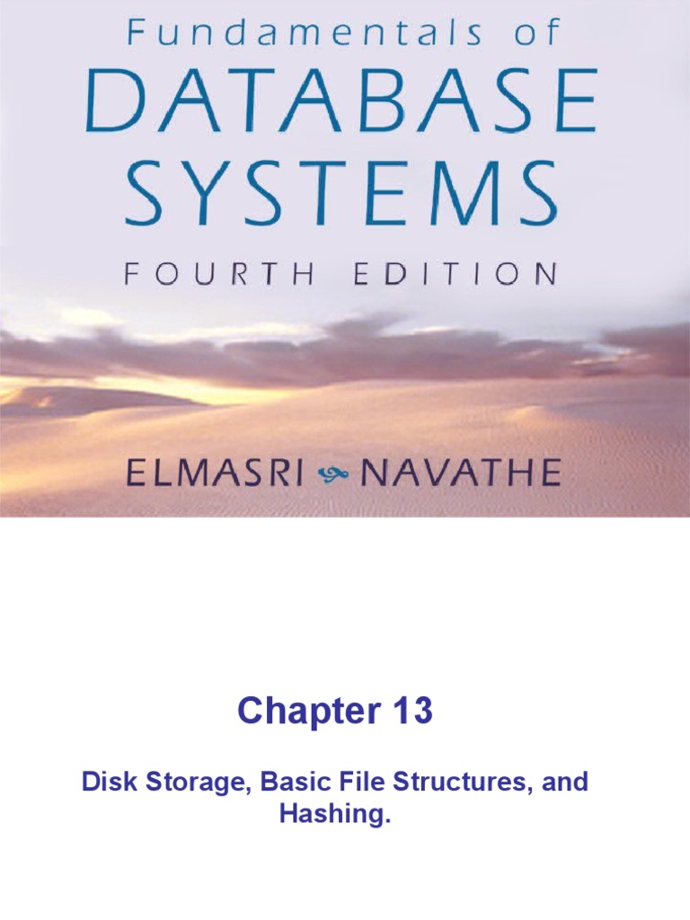 DBMS PDF Disk Storage Computer Data Storage