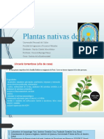 Plantas Nativas Del Perú